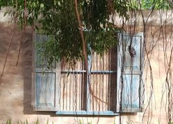 156646573_4504778326201019_2658258992952320107_n